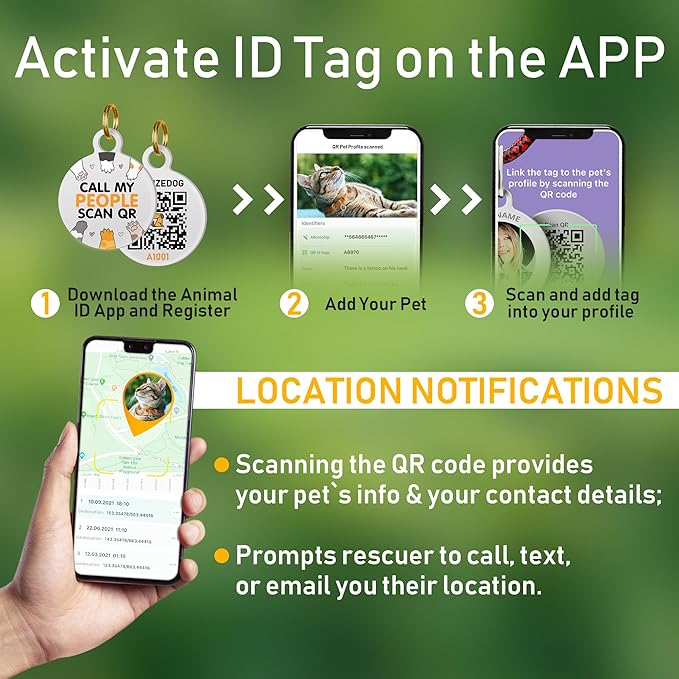 BRONZEDOG Leather Cat Collar with Removable Bells Non Breakaway Kitten QR Tag for Girl Boy (9" - 12" Cats/Mini Dogs, Brown & Silver)