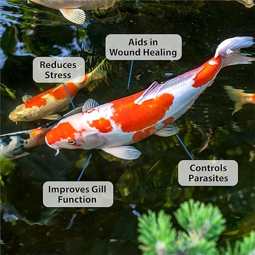 CrystalClear ParaSalt Outdoor Pond & Water Garden Rock Salt Crystals, Fish Parasite Control, Beneficial Stress Reducing & Slime Coat Treatment, Natural Aquatic Additive, Koi, Plants & Pet Safe, 20 lbs