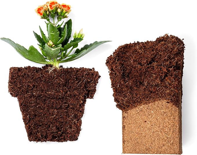 Coco Coir 650gm Bricks (30-Pack) - Organic Coco Coir for Plants & Gardening - OMRI-Listed Cocopeat for Garden Soil, Seed Starter Soil, & Mulch - Coconut Coir Bricks - Coconut Fiber Potting Mix