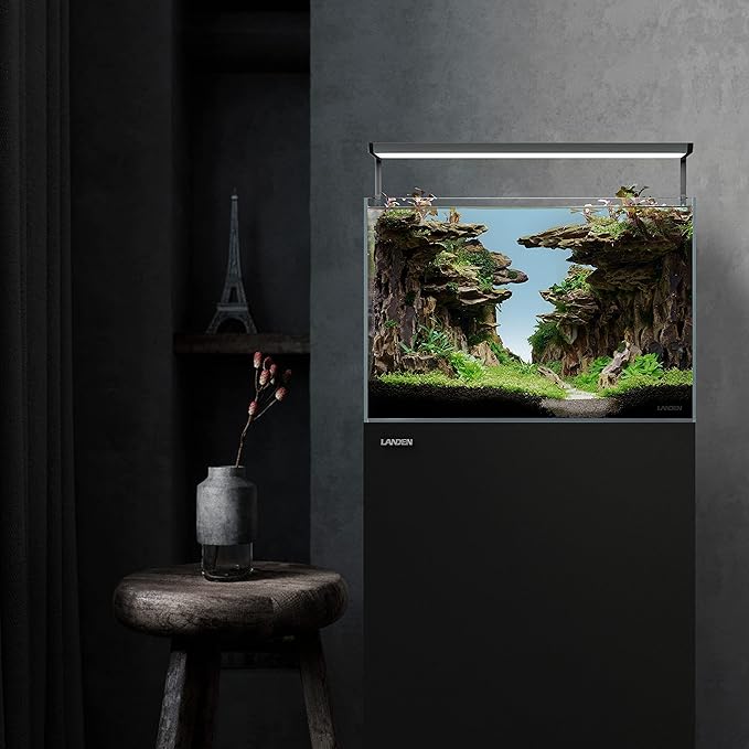 LANDEN Natural Dragon Stones (16lbs, 2~8 inches,7-8pcs) for Aquascaping Terrariums, Paludariums,Vivariums, Reptile and Amphibian Enclosures