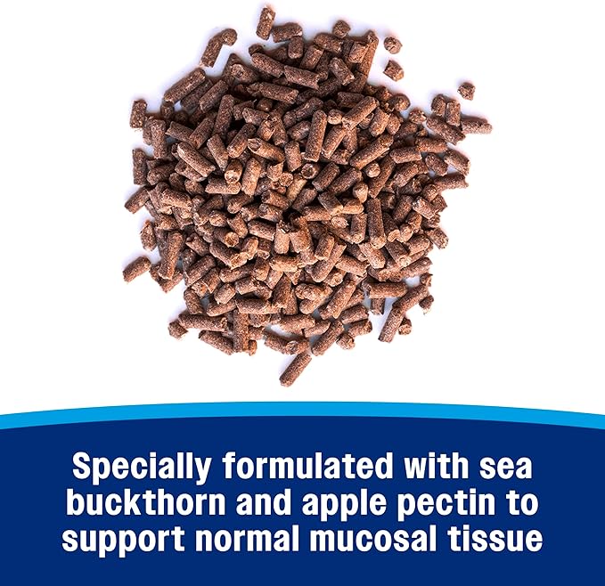 Farnam Gastric Health Pellets, Daily Gut and Digestive Health Supplement for Horses Helps Maintain a Healthy Gastrointestinal Tract and Gut Function