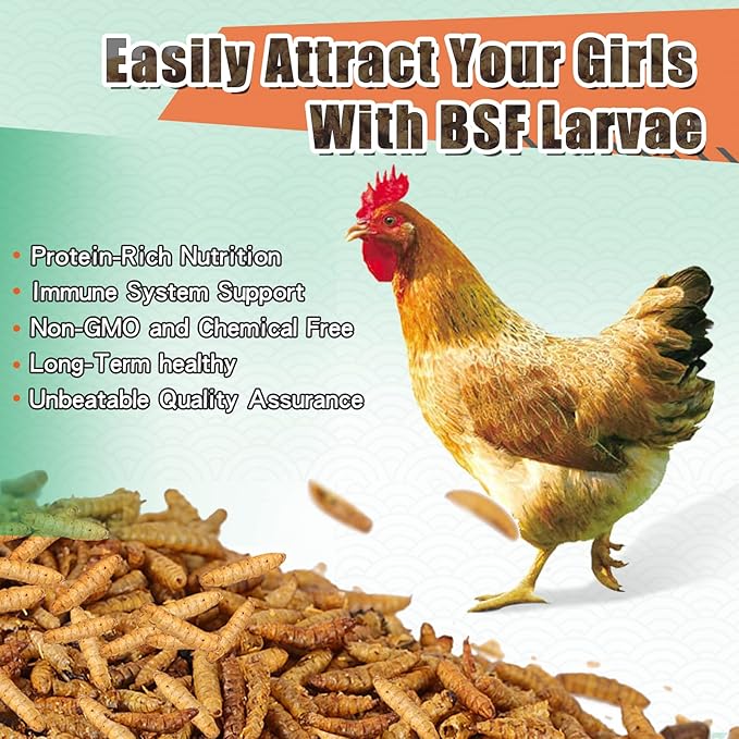Dried Black Soldier Fly Larvae 20LBS, 85X More Calcium Than Mealworms High-Protein BSF Larvae Chicken Treats Non-GMO BSFL for Chickens, Hens, Ducks, Wild Birds