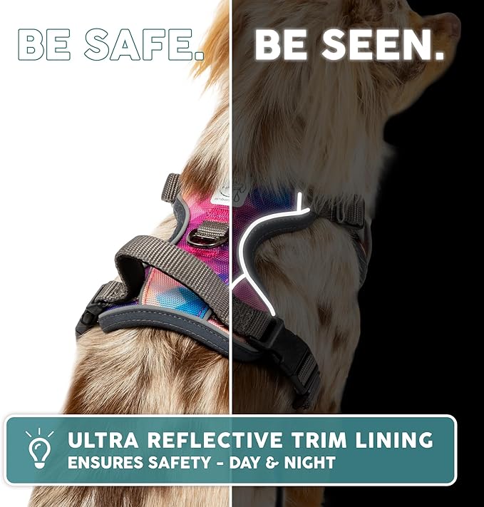 Embark Adventure Dog Harness, Reflective Trim XL Dog Harness for Extra Large Dogs No Pull - Military Grade Nylon, 2 Leash Clips & Gel Lined Handle.