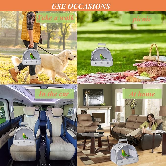 Bird Carrier Travel Cage with Stand, Small Bird Travel Carrier for Parrot with Perch, Side Access Window (Grey)