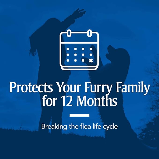 PETARMOR Home Carpet Powder for Fleas and Ticks, Protect Your Home From Fleas and Deodorizes Carpets, 16 Ounce