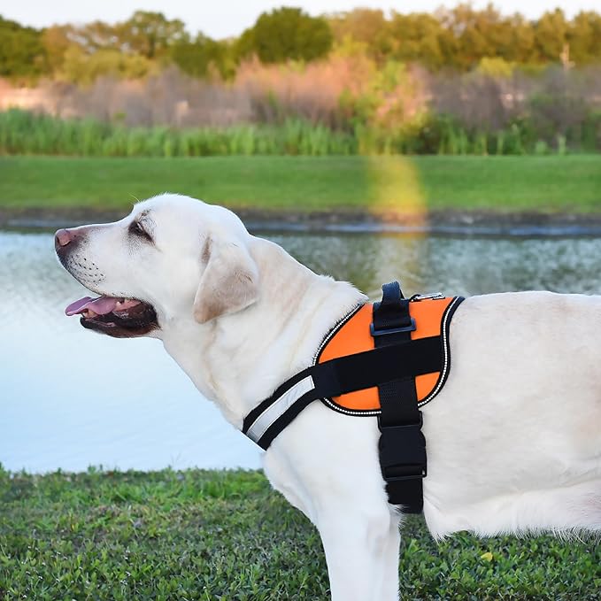 Dogline Dog Harness, Reflective No-Pull Adjustable Vest with Handle for Walking, Training, Breathable, No - Choke Harness for Small, Medium or Large Dogs Room for Patches Girth 22"-28" in Orange