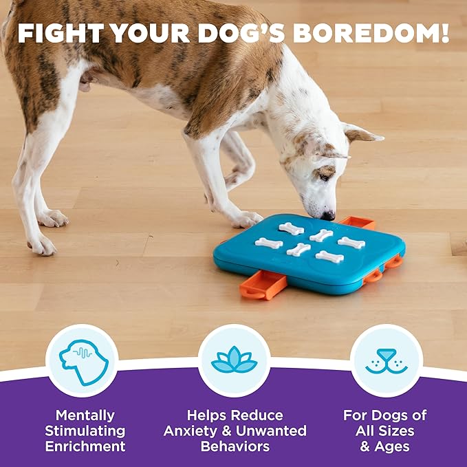 Outward Hound by Nina Ottosson Dog Casino Treat Puzzle Enrichment Toy, Level 3 Advanced, Turquoise