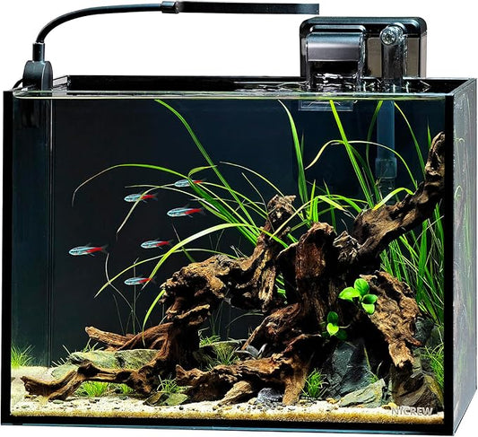 NICREW 2.5 Gallon Nano Nature Aquarium Kit, Ultra-Clear Rimless Desktop Fish Tank with Light and Filter, Perfect for Small Fish, Shrimp, or Betta, Basic Version, Black