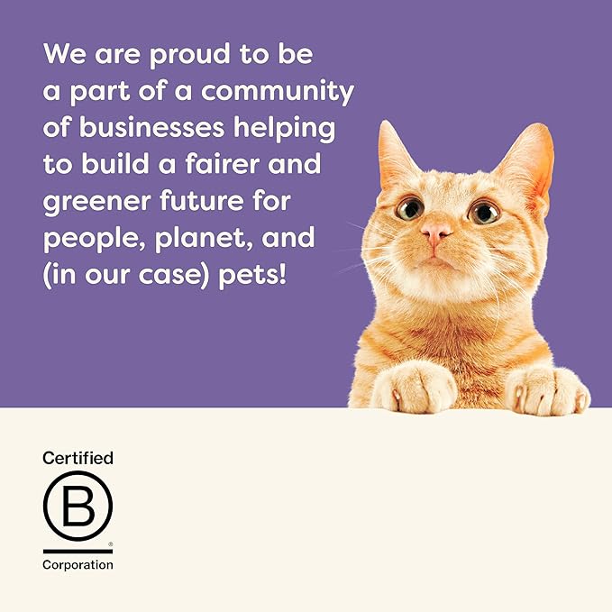 Applaws Natural Wet Cat Food in Broth, Made with Limited and Natural Ingredients, Fish Selection Variety Pack in Broth (12 x 5.5oz Cans)