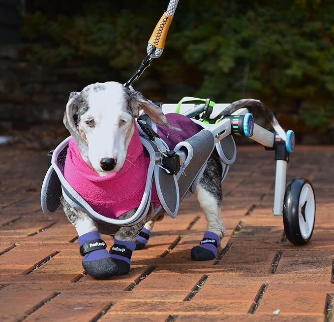 Double Dipped Thick Textured Waterproof Cotton Dog Socks | PawFlex Comfy Pawz Soft Indoor/Outdoor Pet Booties | Non-Slip Silicone Grip at Inner Wrist for No Twisting or Sliding Off| Adjustable Strap