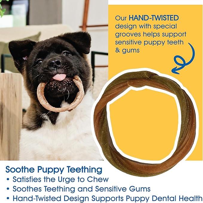 N-Bone Puppy Teething Rings Taste of Texas Chicken Fajitas Flavor 3 Count