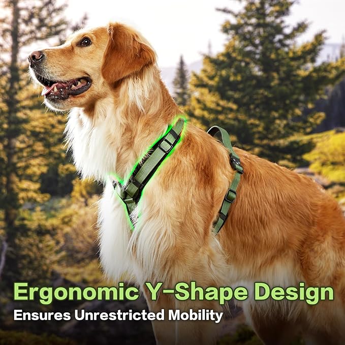 CLEPAWS Dog Harness for X-Large Dogs, No Pull Dog Harness Easy Walk with Metal Hardware, Ergonomic Y-Shaped Design, Soft Padding, Padded Handle, Durable High-Tensile Nylon (Evergreen, XL)