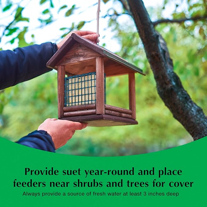 C&S Sunflower Suet Nuggets, Suet Nuggets for Wild Birds, 27 Ounces