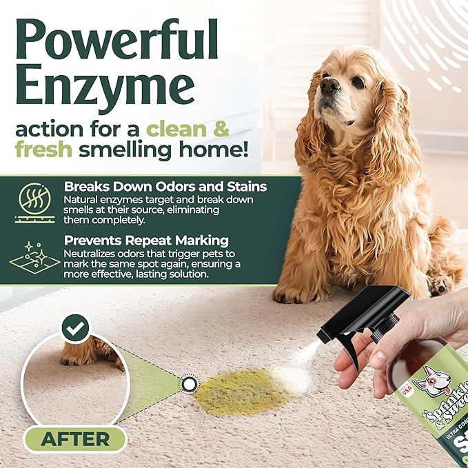 Enzyme Cleaner for Cat Urine | Cat Pee Odor Eliminator & Stain Remover | Dog Urine Carpet Spray | Multi-Surface Cat Urine Destroyer | Pet Odor Neutralizer (24oz)