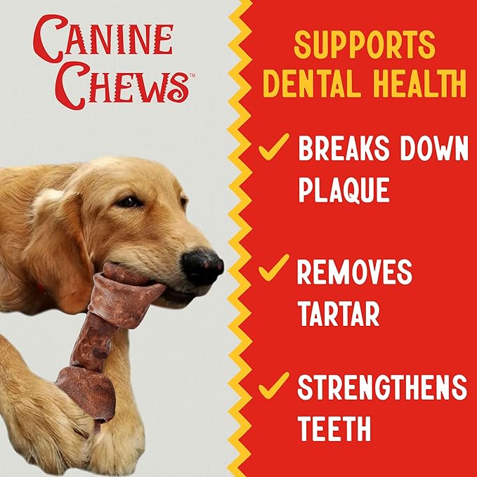 Canine Chews 8-9 Inch Beef Basted Knotted Rawhide Bones for Large Dogs - Durable Rawhide Bones for Medium and Large Dogs - Long Lasting Dog Rawhide Bones with for Aggressive Chewers - 10 Pack