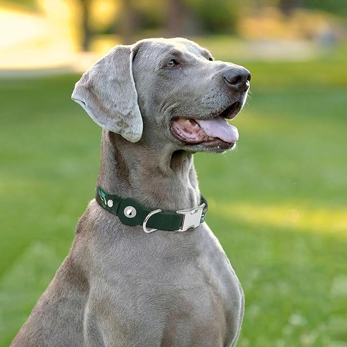 AirTag Dog Collar for Small Medium Large Breed - Adjustable Cute Pattern Dog Collar with Airtag Holder - Soft Leather Tracker GPS Apple Air Tag Pet Collars (Medium, 14"-18" Neck Fit, Mushroom)