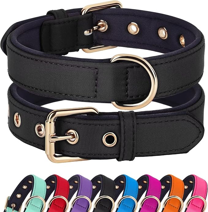 Didog Soft Padded Dog Collars for Small Dogs, Lightweight and Breathable Dog Collar with Metal Buckle, Black, M