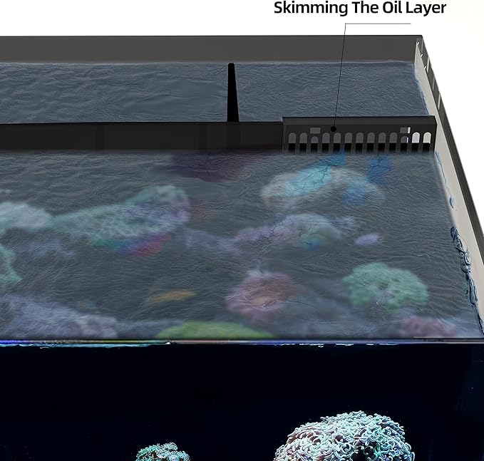 Landen 60P 26.23 Gallon Ultra Clear All Glass Rimless Low Iron Aquarium Tank with Rear Filtration Chamber for Salt and Fresh (Return Pump Included) 23.6Wx17.7Dx15.8H in(60x45x40cm) 8mm Thickness