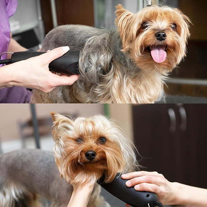 Detachable A Series 4f Blade Dog Grooming Cuts Length 3 3/8" - 9.6mm Japanese High Carbon Steel Dog Grooming Blade Supplies | Detachable Blade Clippers (Compatible A5 Series(B4F)