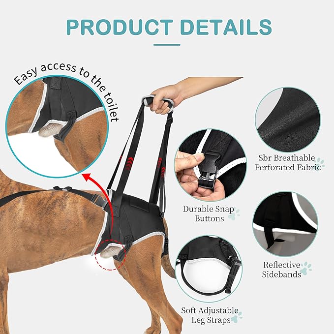 Dog Lift Harness for Large Dogs – Hind Leg Support Sling for Muscle Atrophy, Joint Pain, and Senior Pets, Adjustable Design Helps with Walking, Stairs, and Daily Mobility, L