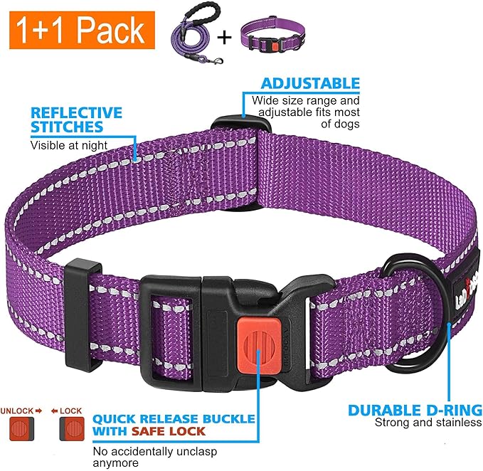 Heavy Duty Dog Leash - Comfortable Padded Handle, 5 ft Long - Dog Leashes for Small Medium Large Dogs (Leash+Collar XS Neck 10.5"-13.5", Purple)