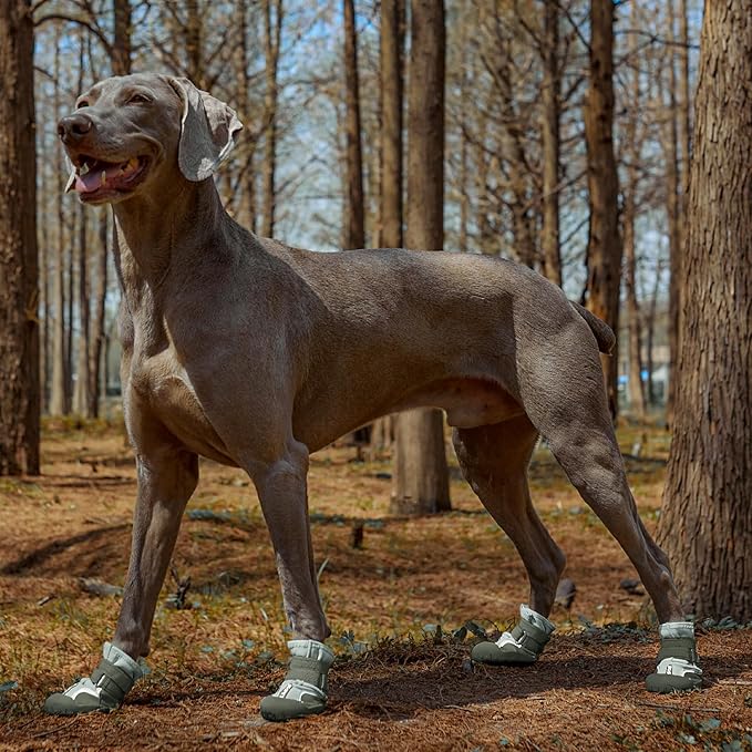 Dog Shoes Winter Snow Boots for Large Size Medium Dogs Reflective Anti-Slip Paw Protectors for Rain Booties Hot Pavement Hardwood Floors Running Water-Resistant Dog Shoes (Green, 4# (S))