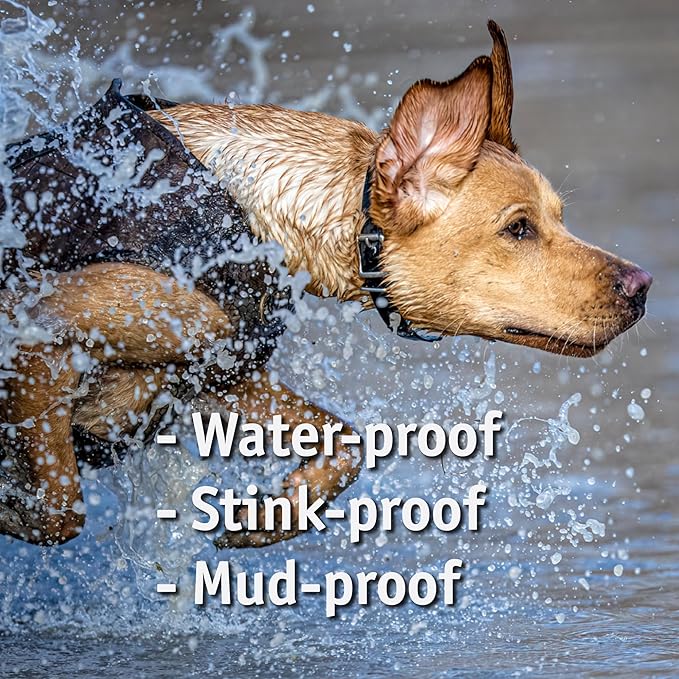 Biothane Custom Dog Collar – Waterproof, Stink-Proof Personalized Collar with Name & Phone Number – Durable, Many Sizes and Colors – Assembled in USA (Bright Yellow)