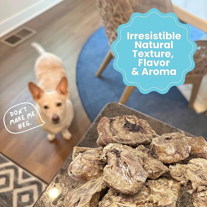 hotspot pets Freeze Dried Turkey Hearts Treats for Cats & Dogs -Made in USA, 1lb Big Bag, Single Ingredient All Natural Grain-Free Turkey Heart - Great for Training, As a Topper or Snack