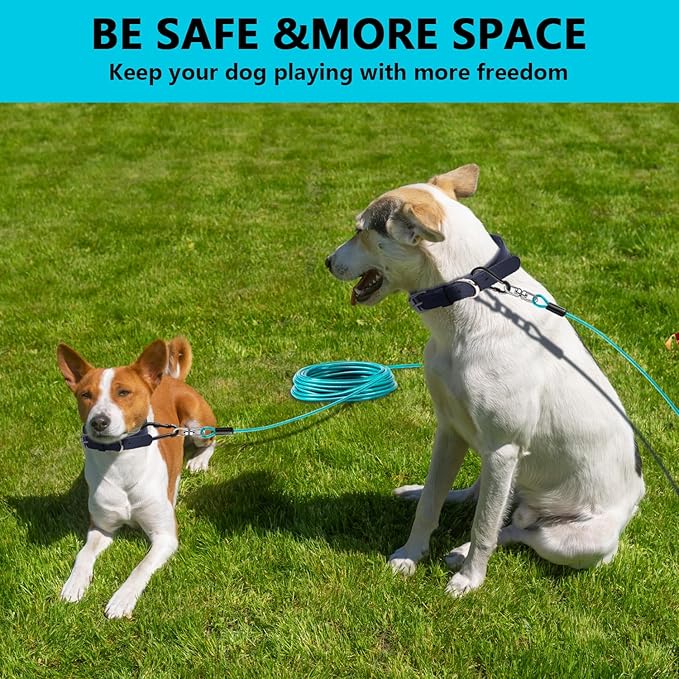Dog Tie Out Cable 30FT-500Lbs,Heavy Duty Dog Leads Line for Yard with Swivel Hook,Medium Large Dogs Leash&Chains for Outside,Rust Chew Proof Dogs Run Cable for Outdoor Camping (Teal, 30FT)