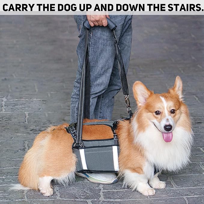 COODEO Mobility Dog Lift Harness, Emergency Carry Sling, Pet Rear Leg Support Rehabilitation Lifts Vest, Dog Carrier for Senior Dogs Joint Injuries, Arthritis (Military Green, XL)