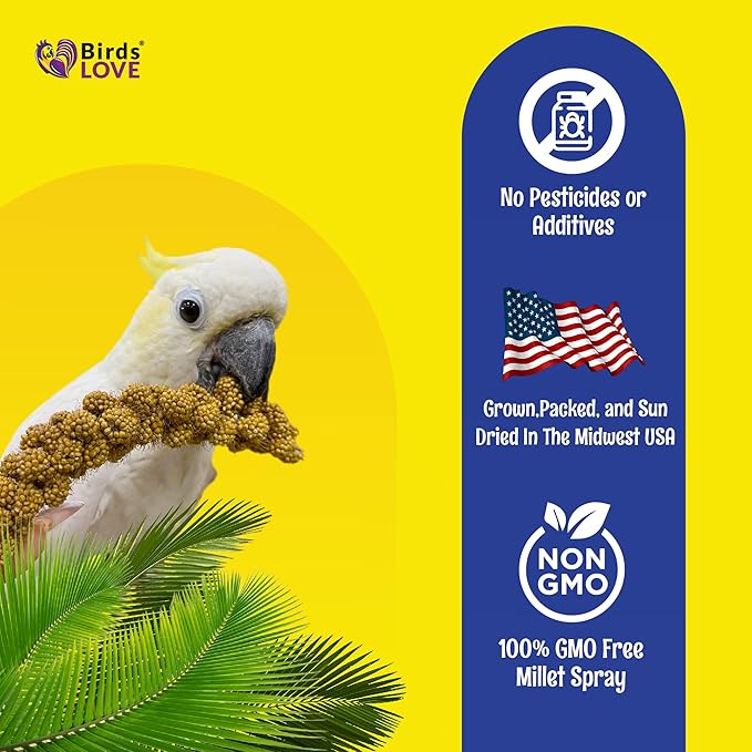 Birds LOVE Economy & Thin Special Spray Millet GMO-Free (No Stems Only Edible Tops) for Birds Cockatiel Lovebird Parakeet Finch Canary All Parrots Healthy Treat - 25lbs