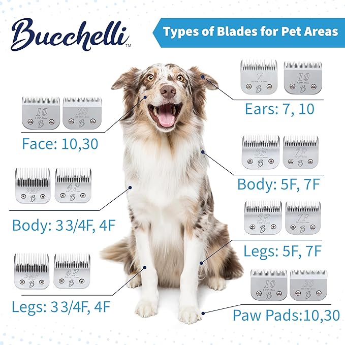 Detachable A Series 1 HT Clipper Blades for Dog Grooming Cut Length 1" - 25mm Japanese Carbonized Steel Dog Clipper Blades-Dog Grooming Blade Compatible A5 Series Clippers for Dog(1HT)