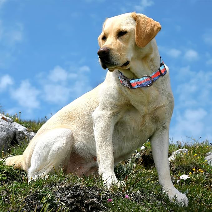 HEELE Dog Collar, Adjustable Soft Dog Collar for Small Medium Large Dogs,Floral Patterned Puppy Collars with Quick Release Buckle XS Length 8.5''-11''