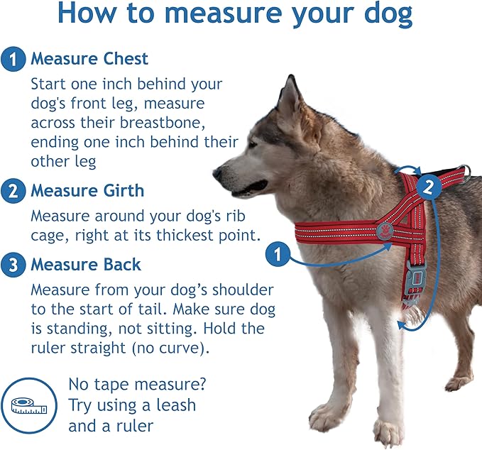 DOCO No-Pull Dog Harness Halter Reflective Easy-Control Harness for Training, Walking, and Preventing Pulling, Ideal for Medium Dogs(Navy Blue)