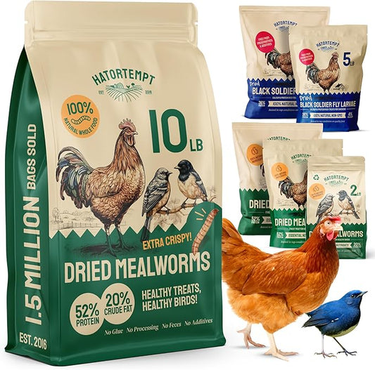 Bulk Dried Mealworms - 10 Lb Bag - Non-GMO Dried Mealworms for Chickens, Ducks & Wild Birds - High-Protein Chicken Feed & Bird Food