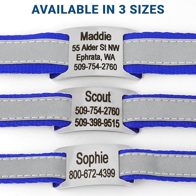 GoTags Reflective Personalized Dog Collar with Nameplate, Adjustable Dog Collar with Custom Engraved Steel Slide On Pet ID Tag, Silent, No Noise Dog Tag for Large Medium or Small (Blue, Medium)