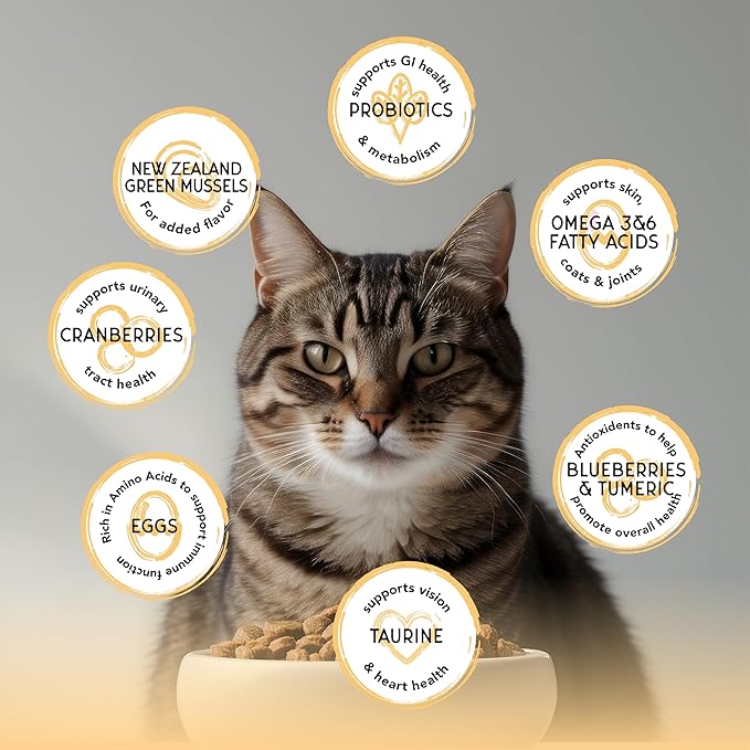 Blackwood Bounty Dry Cat Food, Chicken & Turkey Recipe for All Life Stages, 4.5 Pound Bag, High Protein, Grain Free