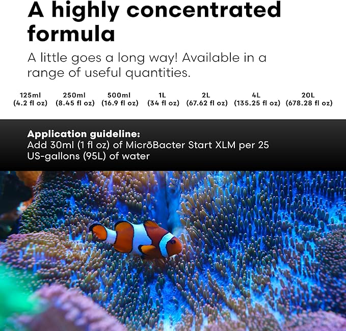 Brightwell Aquatics MicroBacter Start XLM - Concentrated Freshwater Nitrifying Bacteria - Quick Start Fish Tank Starter, Lift Microbe Levels & Water Filtering - Aquarium Water Treatments, 135.2 fl oz