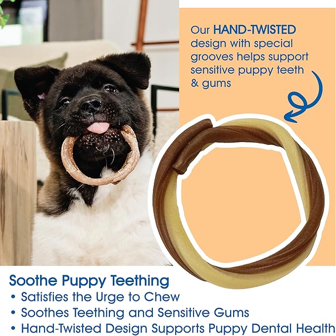 N-Bone Puppy Teething Rings Taste of Texas Queso Con Carne Flavor 3 Count