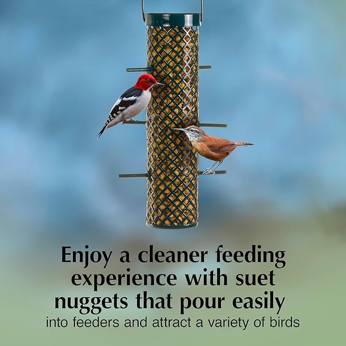 C&S Sunflower Suet Nuggets, Suet Nuggets for Wild Birds, 27 Ounces