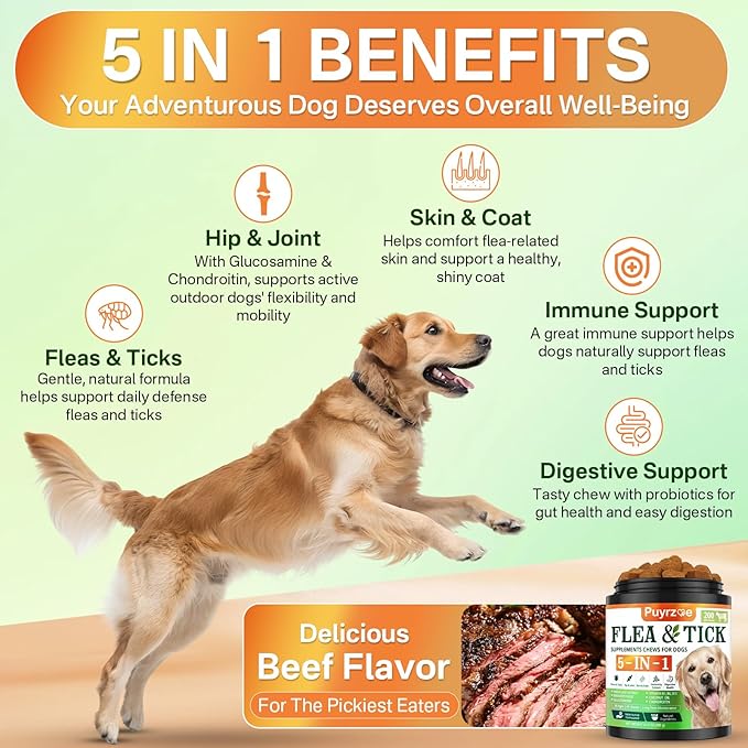 5-in-1 Dog Flea and Tick Treatment Chewable, Natural Flea and Tick Prevention for Dogs Chewable - Flea & Tick | Hip & Joint | Skin & Coat | Immunity Support | Digestive for All Breeds & Sizes