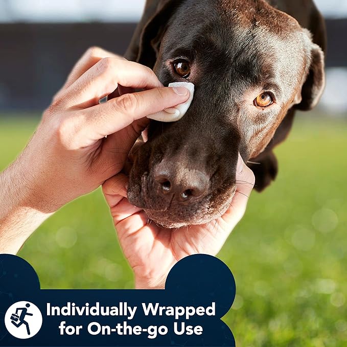 NOVEHA Dog Eye Wipes, Gentle Tear Stain Remover, Eye Hygiene, and Allergy Relief (60 Counts)