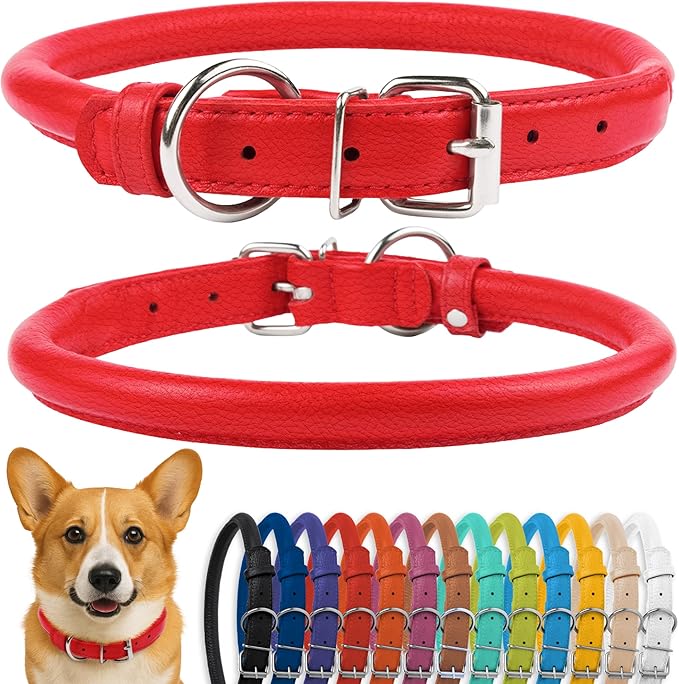 CollarDirect Rolled Leather Dog Collar, Soft Padded Round Puppy Collar, Handmade Genuine Leather Collar Dog Small Large Cat Collars 13 Colors (13-16 Inch, Red Textured)