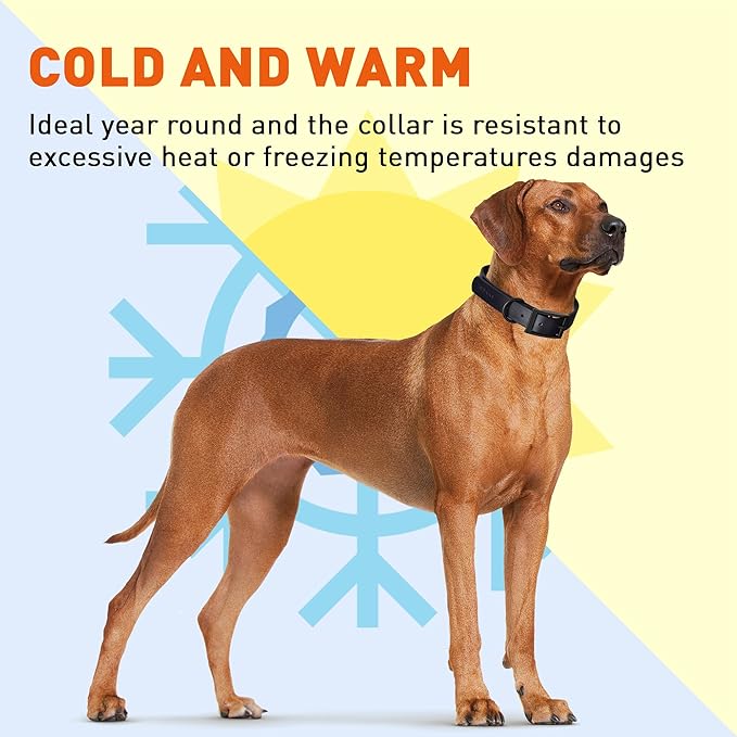 Dogline Biothane Waterproof Dog Collar Strong Coated Nylon Webbing with Black Hardware Odor- Proof for Easy Care Easy to Clean High Performance Fits Small Medium or Large Dogs, Cherry Red