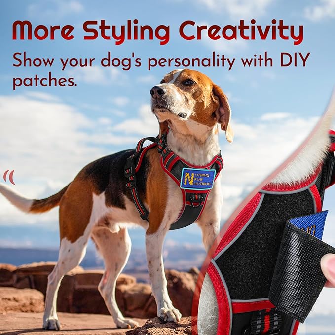 Eagloo Dog Harness for Large Dogs, Easy Wearing with 3 Buckles, Adjustable No Pull Pet Harness with 2 Rings for Walking, No Chock Reflective Soft Padded Vest with Control Handle, Black & Red, XL