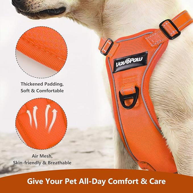 Dog Seat Belt Harness for Car, Dog Car Harness Adjustable Mesh Breathable & Dogs Seatbelt Safety Tether with Elastic Bungee for Small Medium Large Pets(Orange, XL)