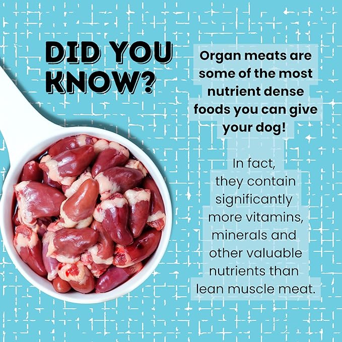 hotspot pets Freeze Dried Duck Heart Treats for Cats & Dogs - Made in USA, 1LB Big Bag - Single Ingredient All Natural Grain-Free Duck Hearts - Perfect for Training, Topper or Snack