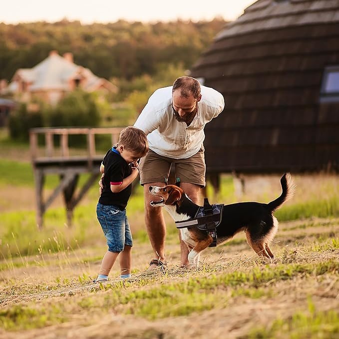 Dogline Dog Harness, Reflective No-Pull Adjustable Vest with Handle for Walking, Training, Breathable, No - Choke Harness for Small, Medium or Large Dogs Room for Patches Girraffe Grey L 27"-34"