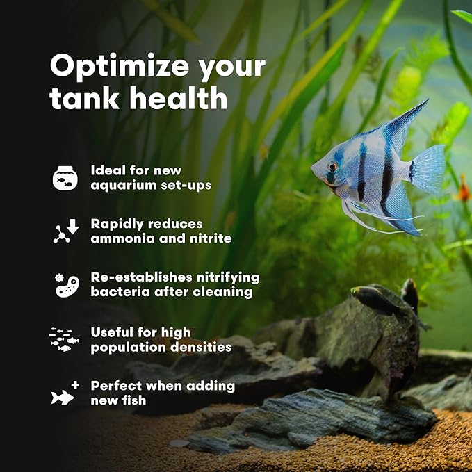 Brightwell Aquatics MicroBacter Start XLF - Concentrated Freshwater Nitrifying Bacteria - Quick Start Fish Tank Starter, Lift Microbe Levels & Water Filtering - Aquarium Water Treatments, 16.9 fl oz