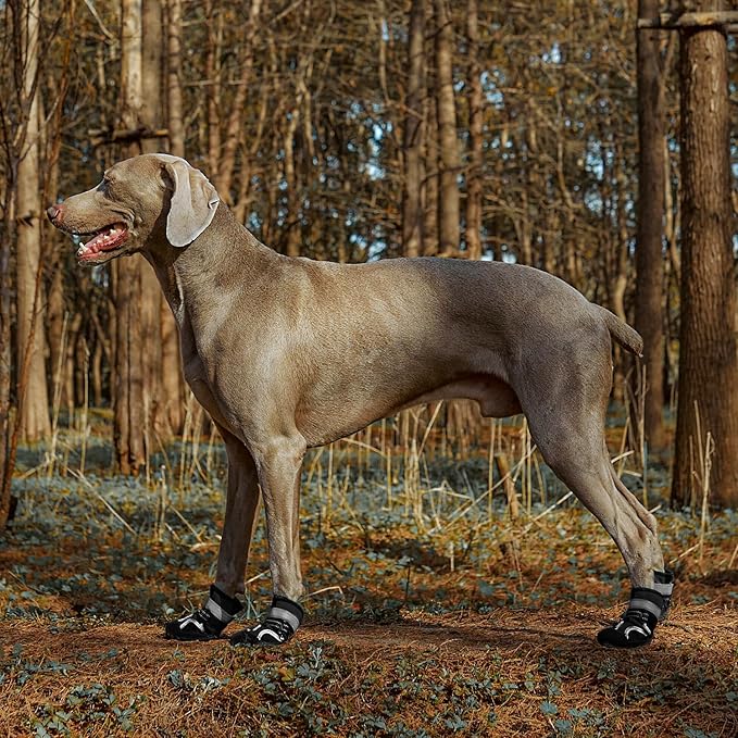 Dog Shoes, Waterproof Dog Boots & Paw Protectors with Anti-Slip Sole, 4pcs/Set Pet Dog Booties, Reflective Dog Shoes for Small Medium Large, Winter Snowy Summer Hot Pavement (Black, 8# (2XL))